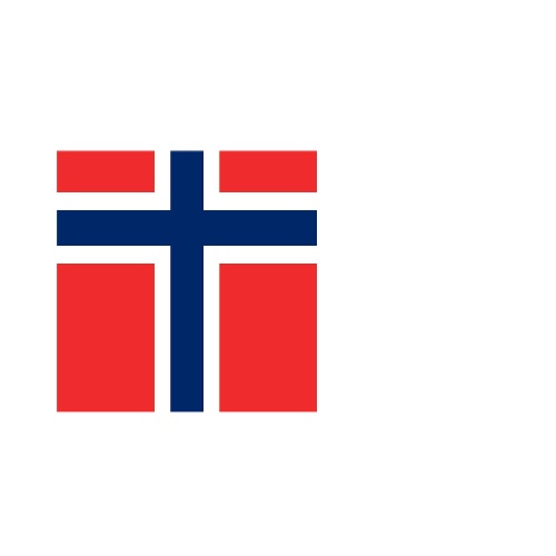 Fanion Tableau Drapeau Norvège en Polyester