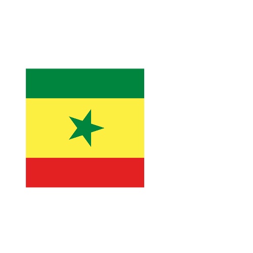 Fanion Table Drapeau Sénégal en Polyester