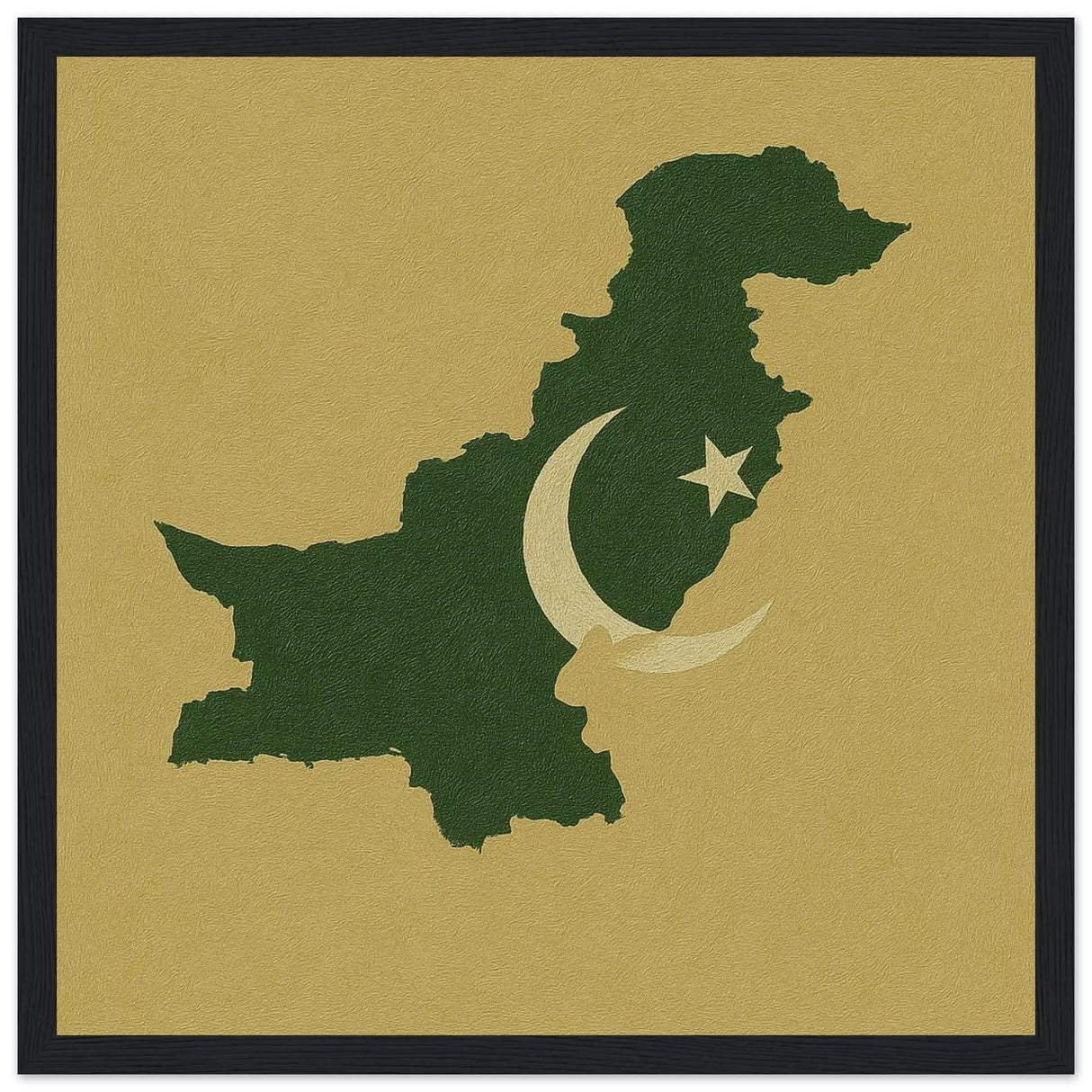 Cadre drapeau pakistan bois affiche encadrée élégante