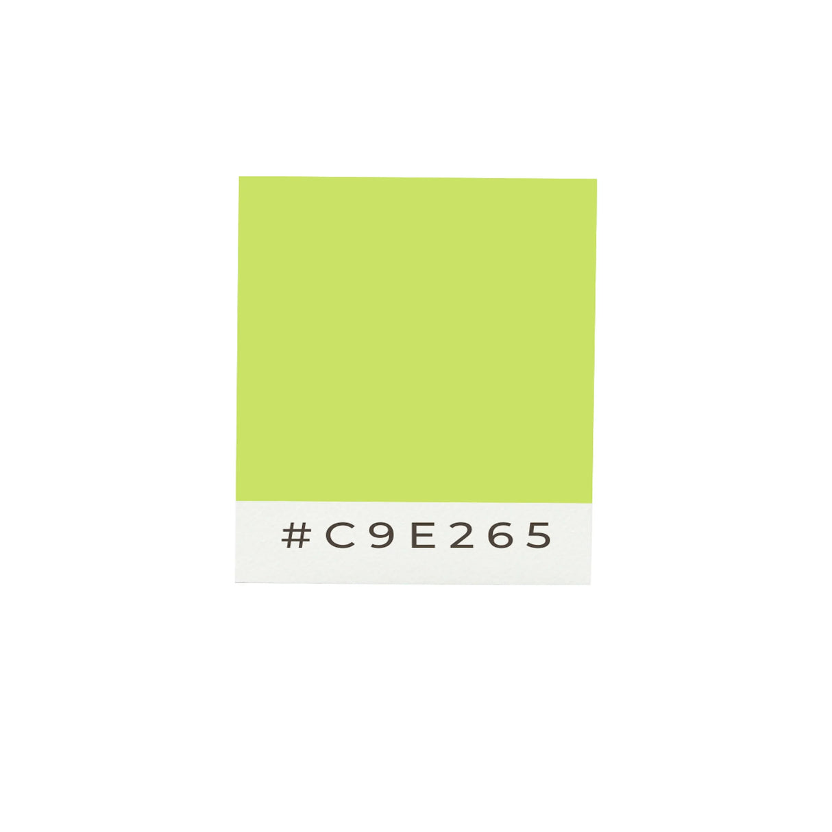 Cape drapeau vert clair france polyester léger à enfiler