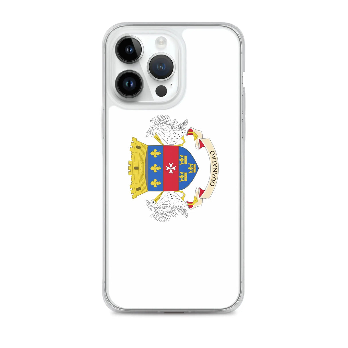 Coque iphone drapeau saint-barthélemy souple antichoc