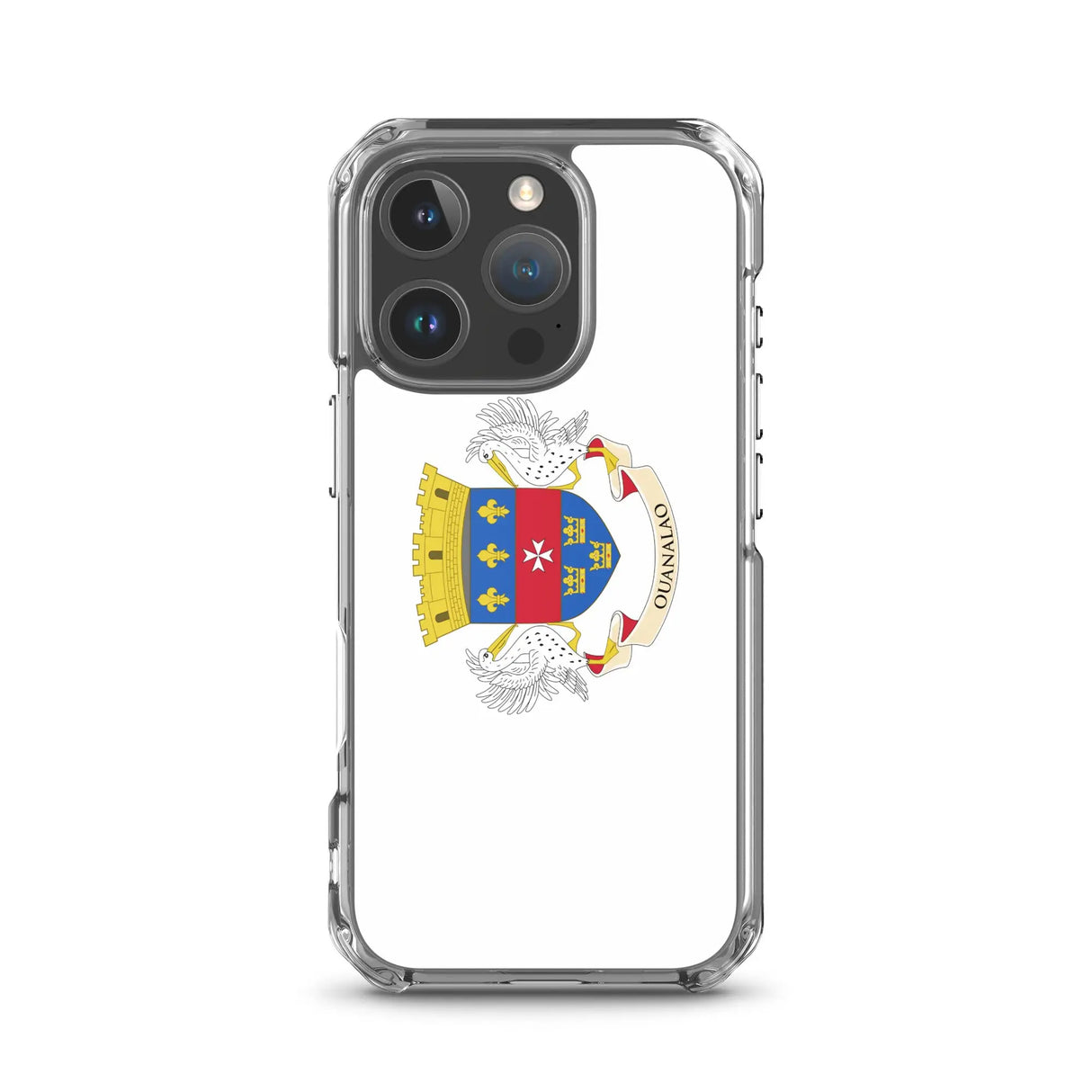Coque iphone drapeau saint-barthélemy souple antichoc