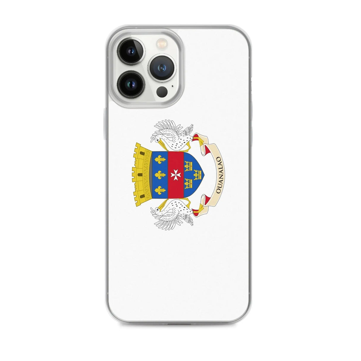 Coque iphone drapeau saint-barthélemy souple antichoc