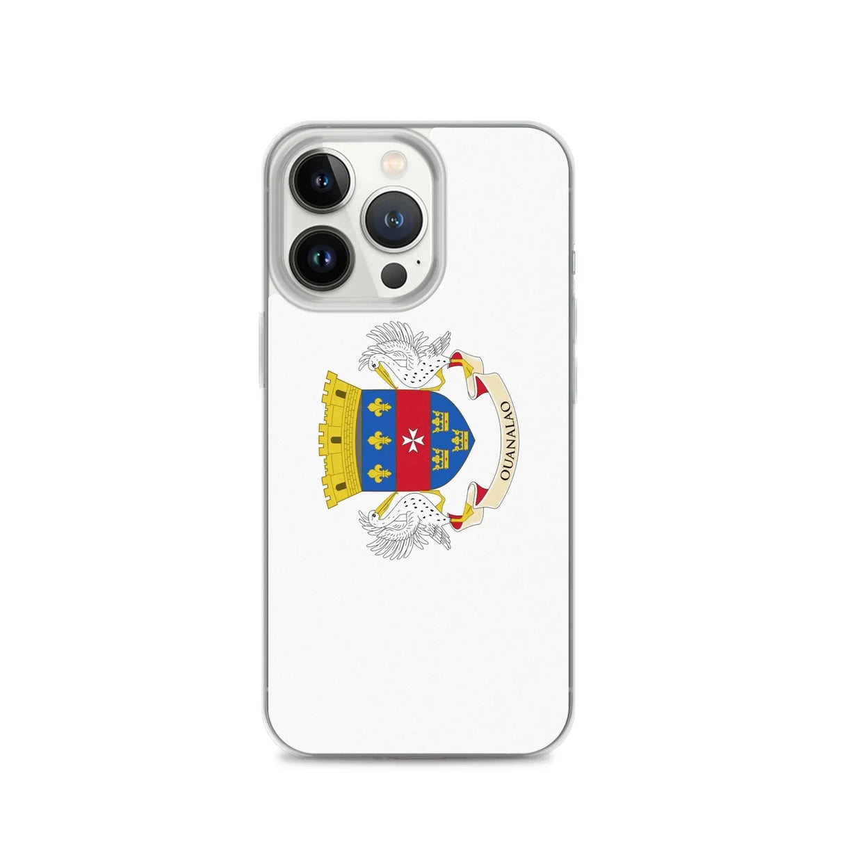 Coque iphone drapeau saint-barthélemy souple antichoc