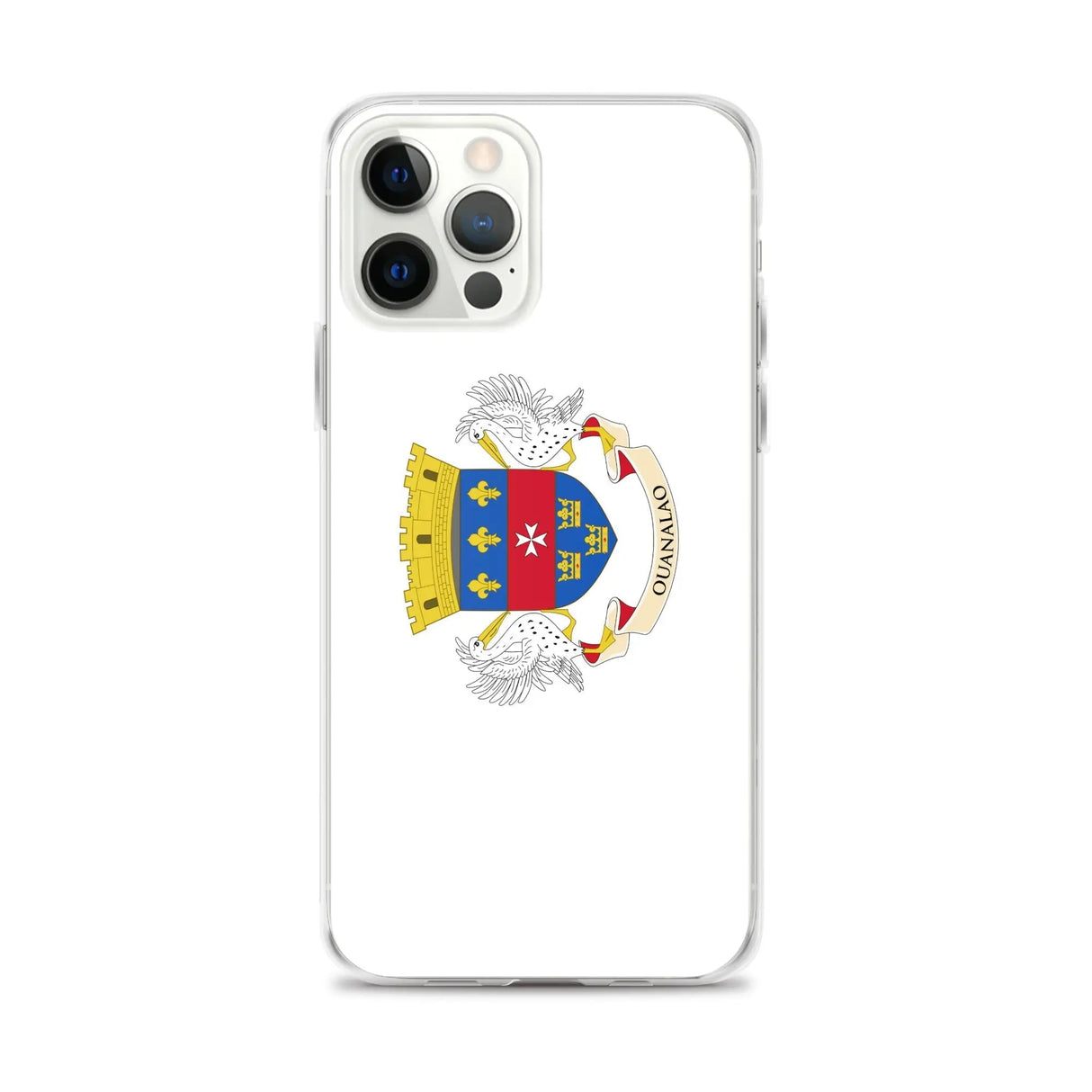 Coque iphone drapeau saint-barthélemy souple antichoc