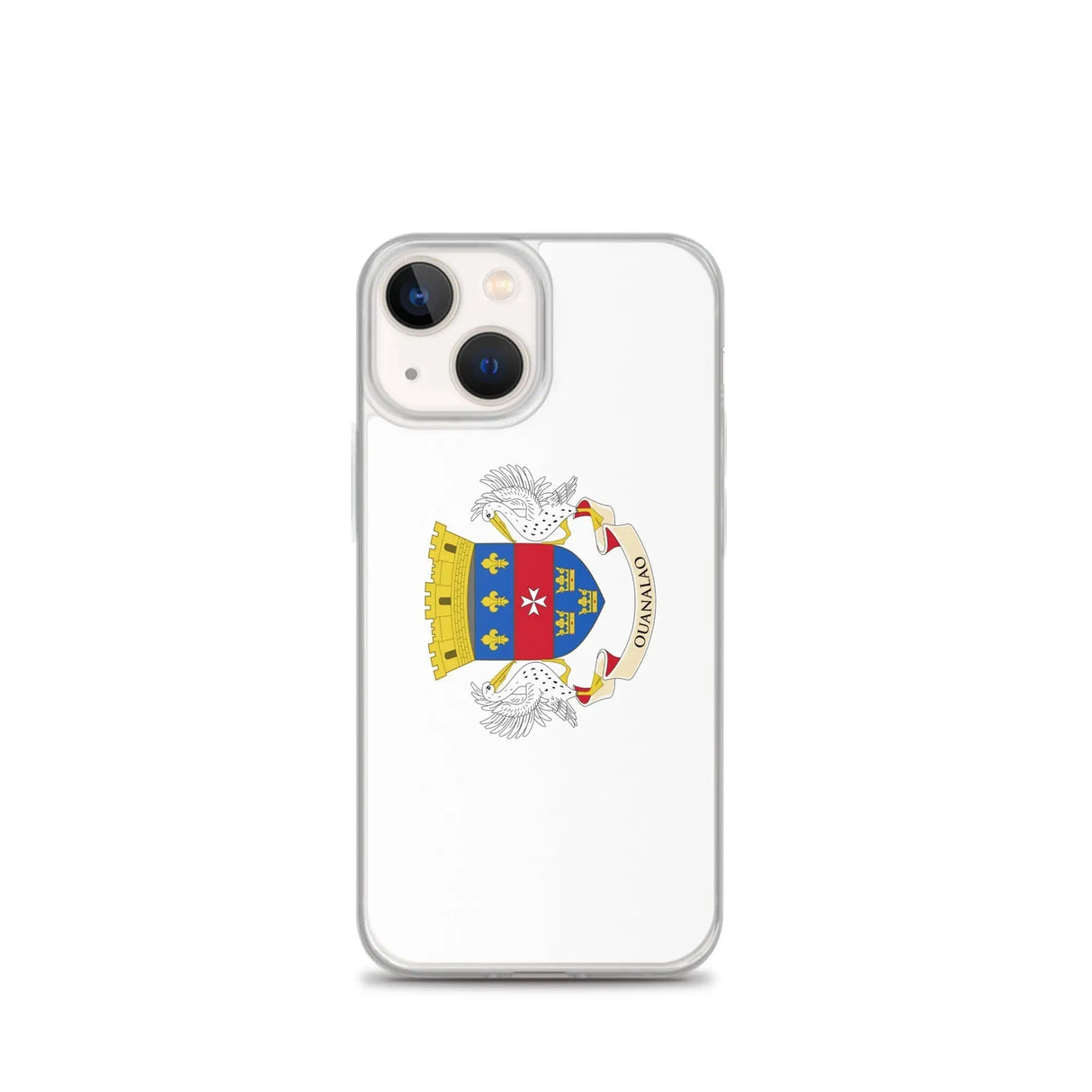 Coque iphone drapeau saint-barthélemy souple antichoc