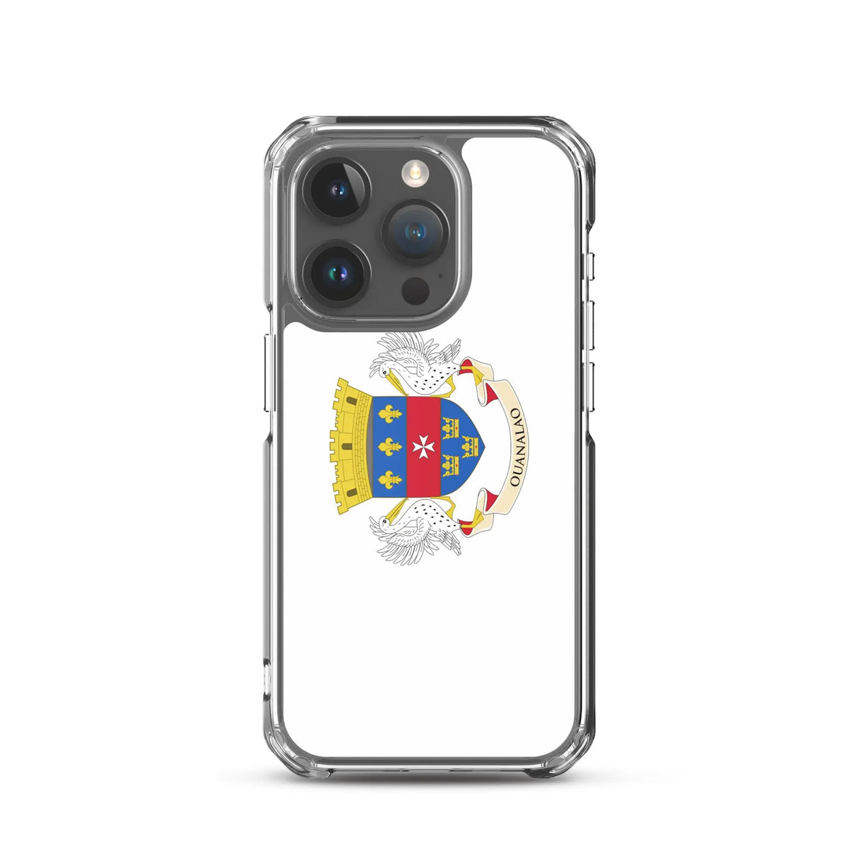 Coque iphone drapeau saint-barthélemy souple antichoc
