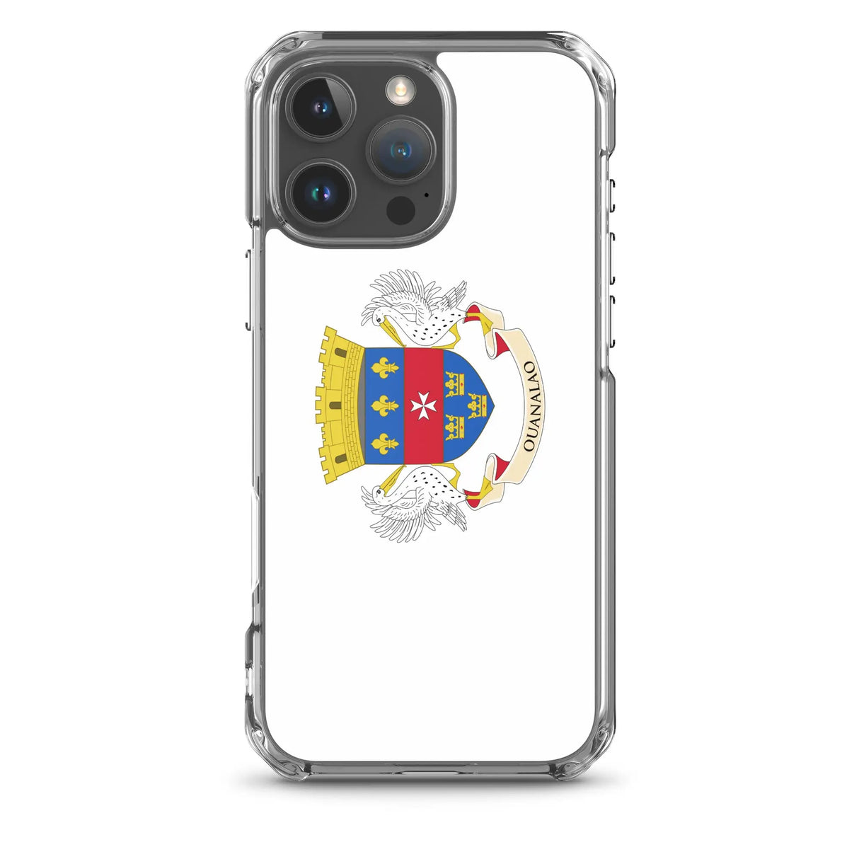 Coque iphone drapeau saint-barthélemy souple antichoc