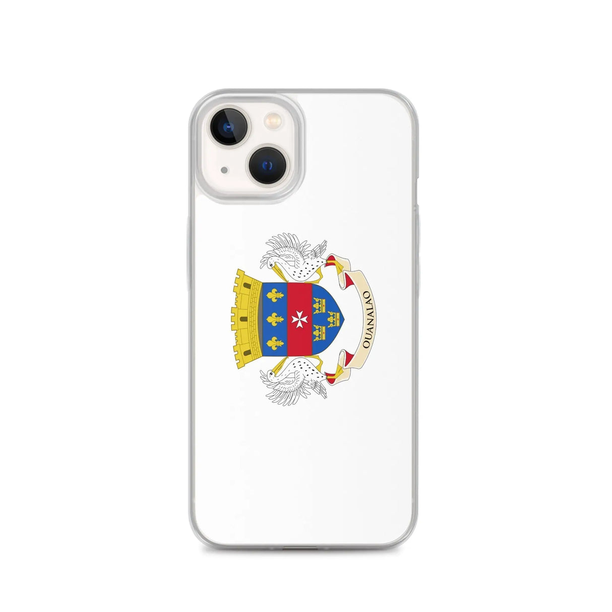 Coque iphone drapeau saint-barthélemy souple antichoc