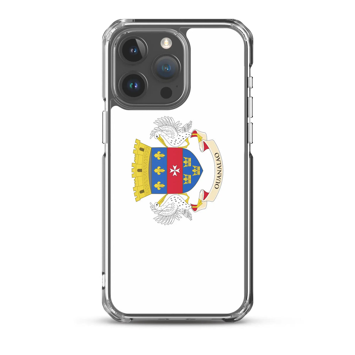 Coque iphone drapeau saint-barthélemy souple antichoc