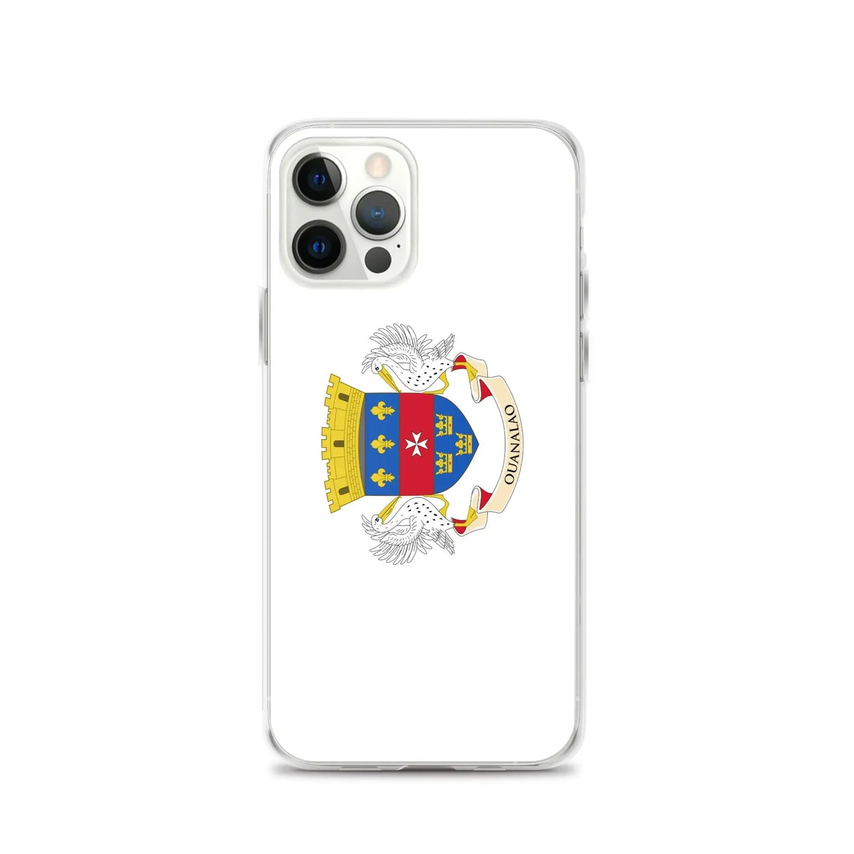 Coque iphone drapeau saint-barthélemy souple antichoc
