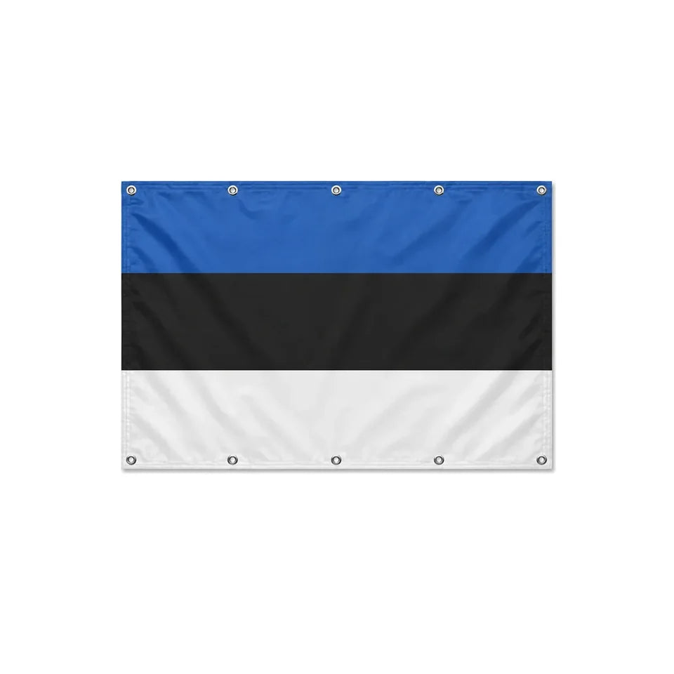 Drapeau de l'Estonie format S en polyester avec dix œillets