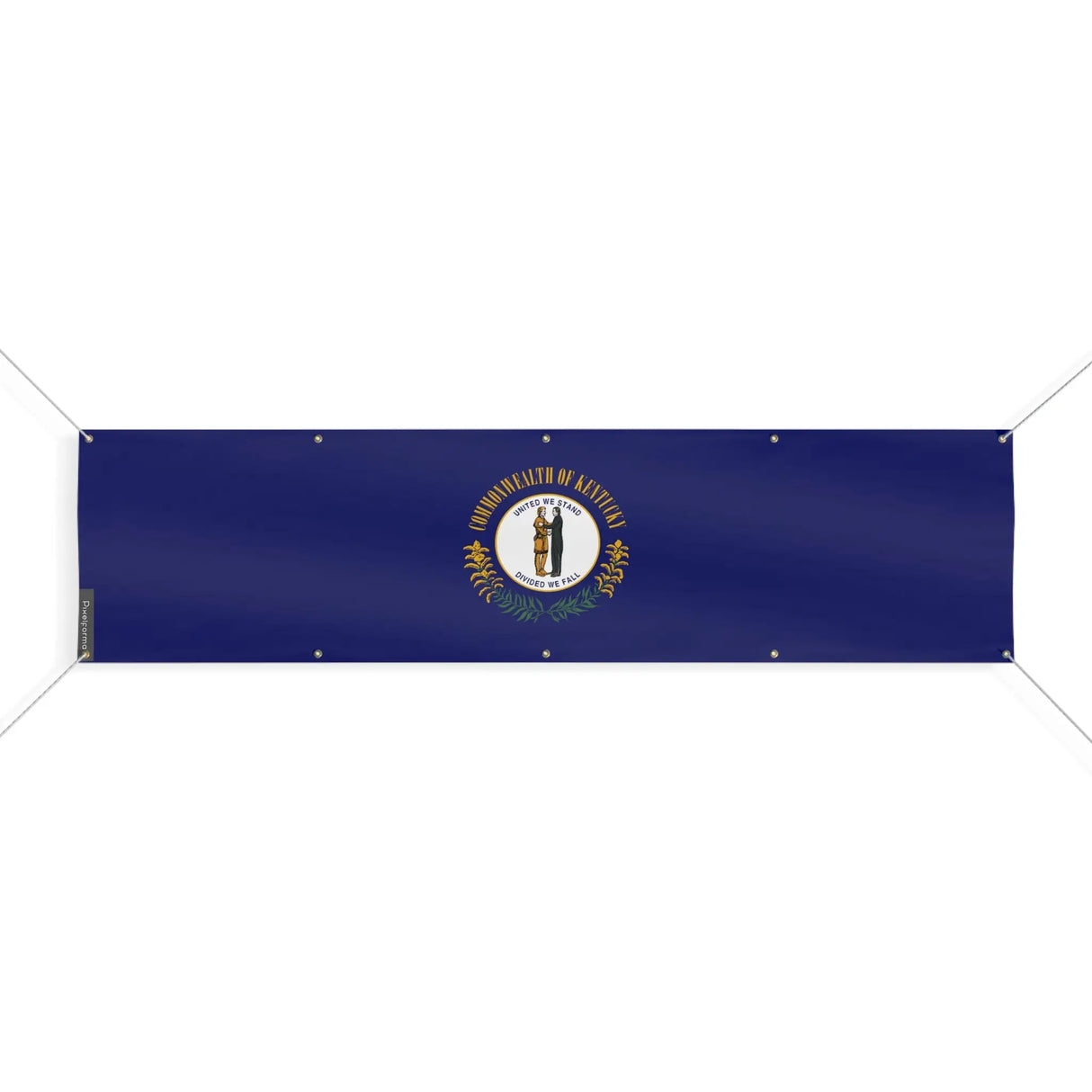 Drapeau kentucky en polyester résistant aux intempéries