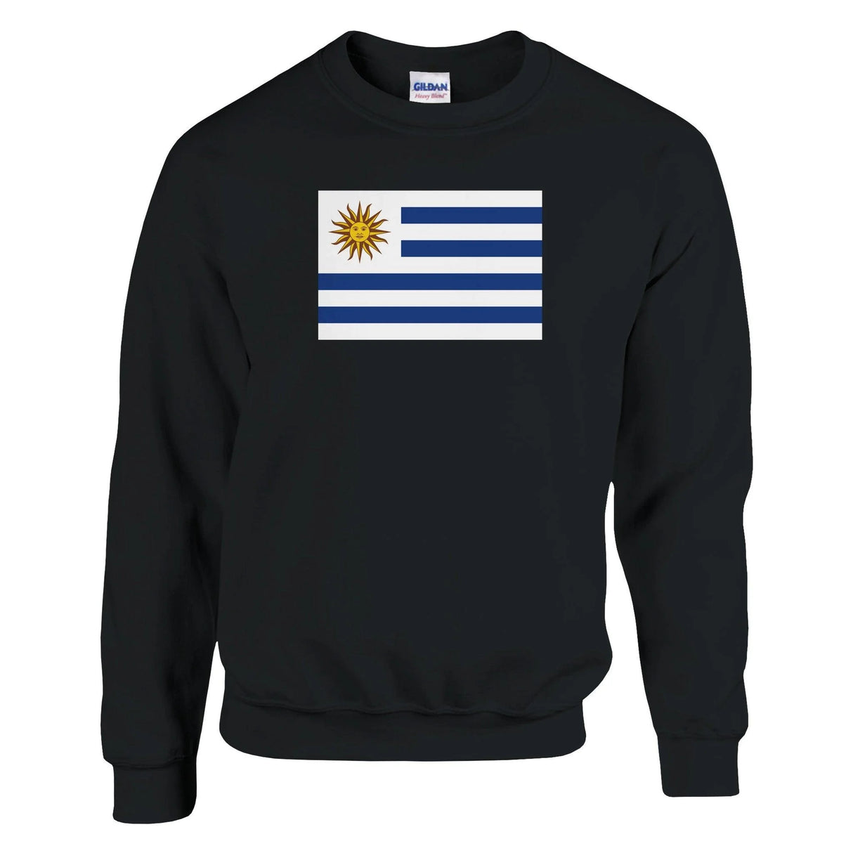 Sweat-shirt drapeau uruguay coton mélangé broderie douce