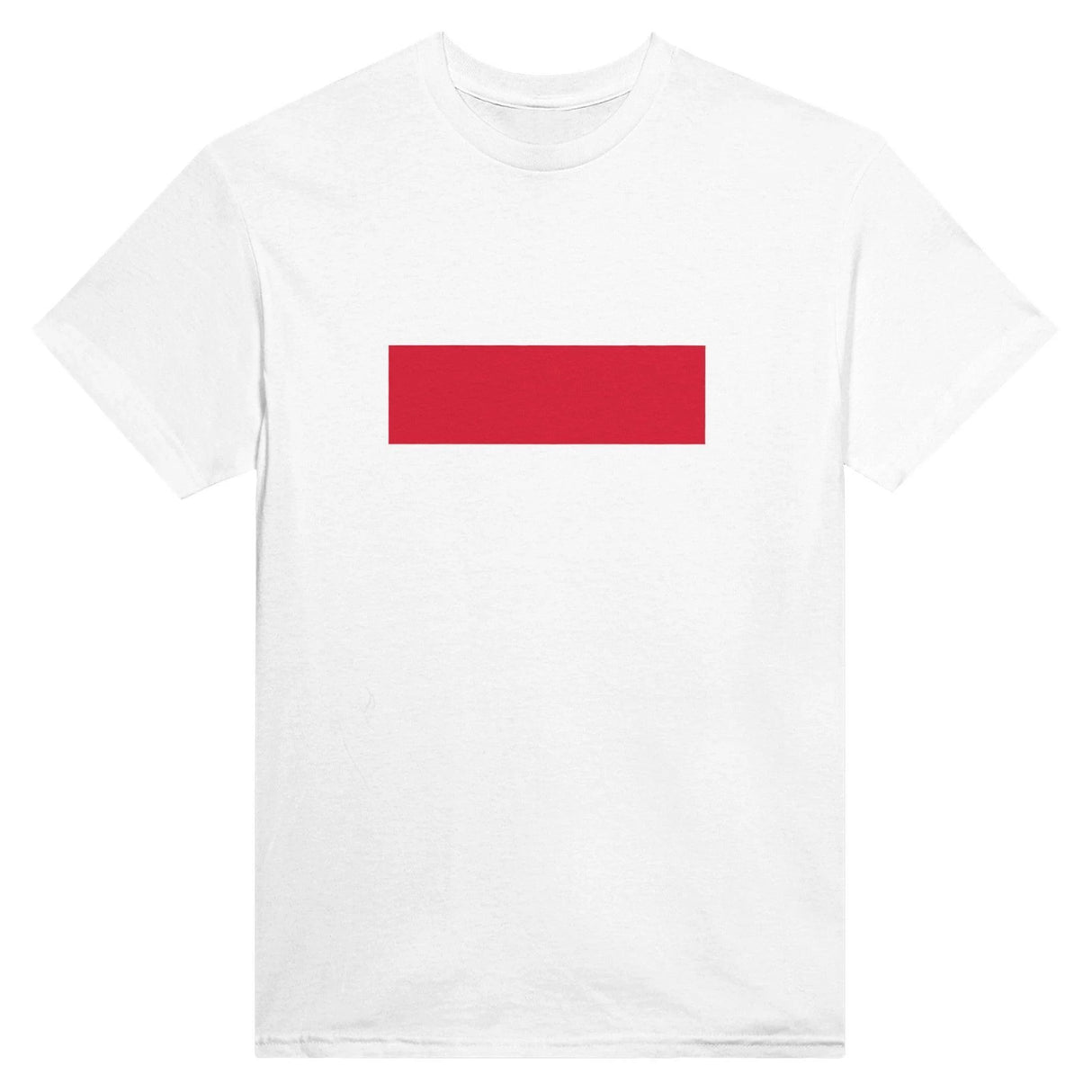 T-shirt drapeau pologne brodé en coton mélangé élégant