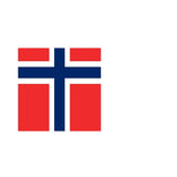Fanion Tableau Drapeau Norvège en Polyester