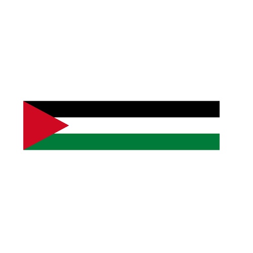 Drapeau de la Palestine 10 Oeillets en Plusieurs Tailles (XL)