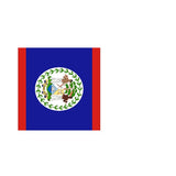 Fanion Table Drapeau Belize en Polyester