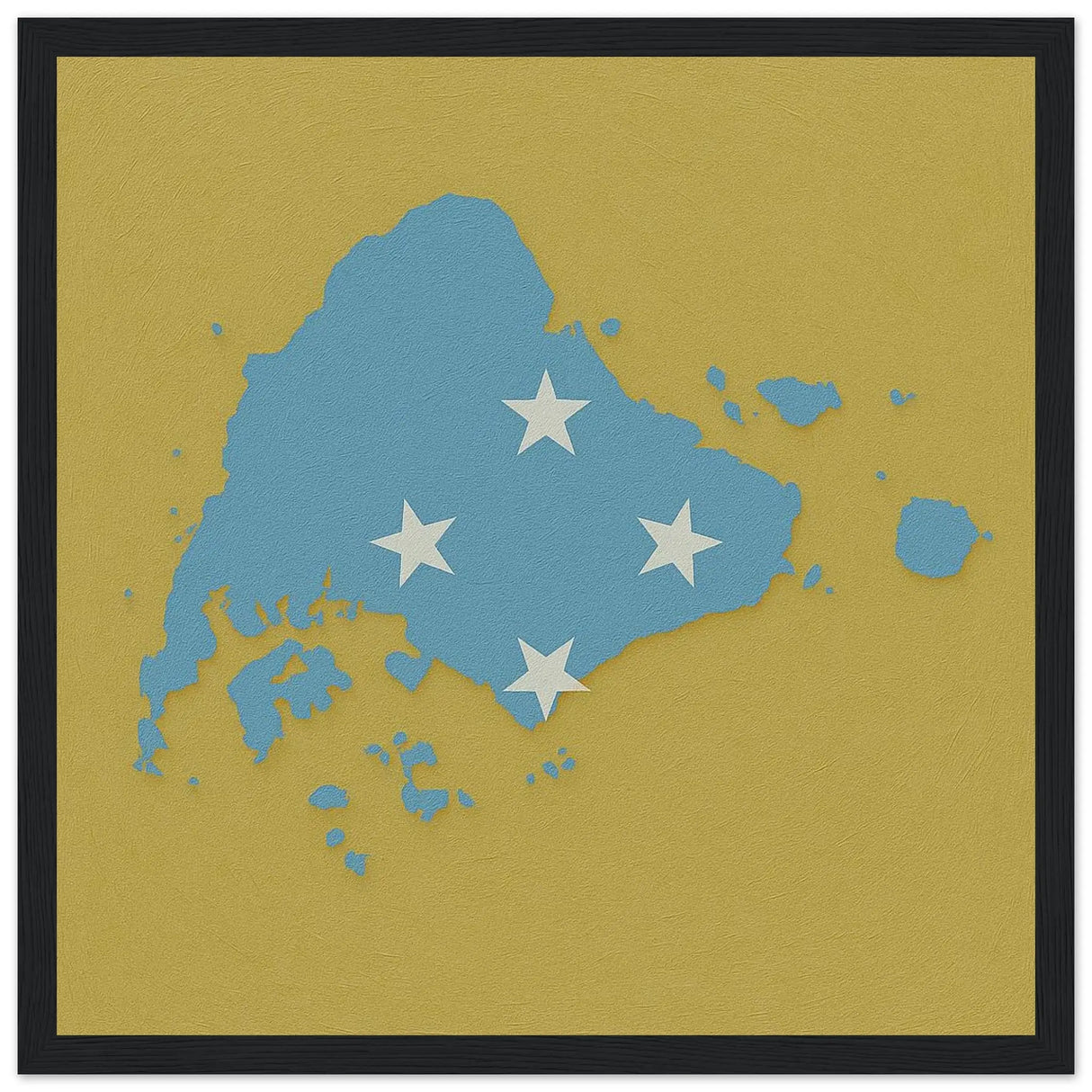 Affiche encadrée drapeau micronésie en bois décoratif