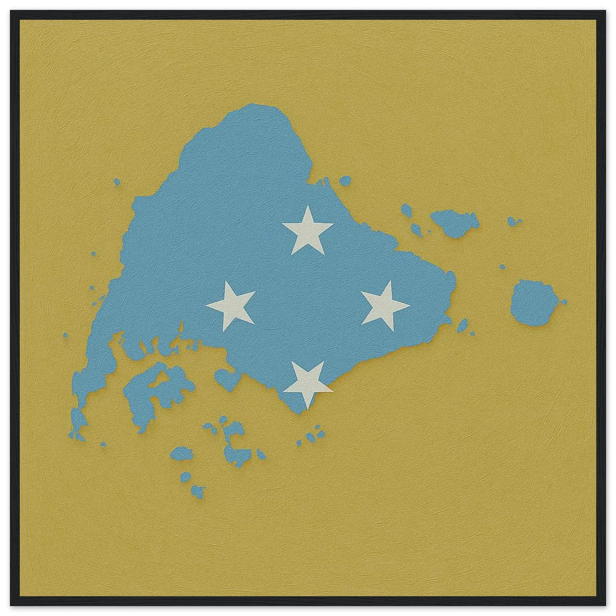 Affiche encadrée drapeau micronésie en bois décoratif