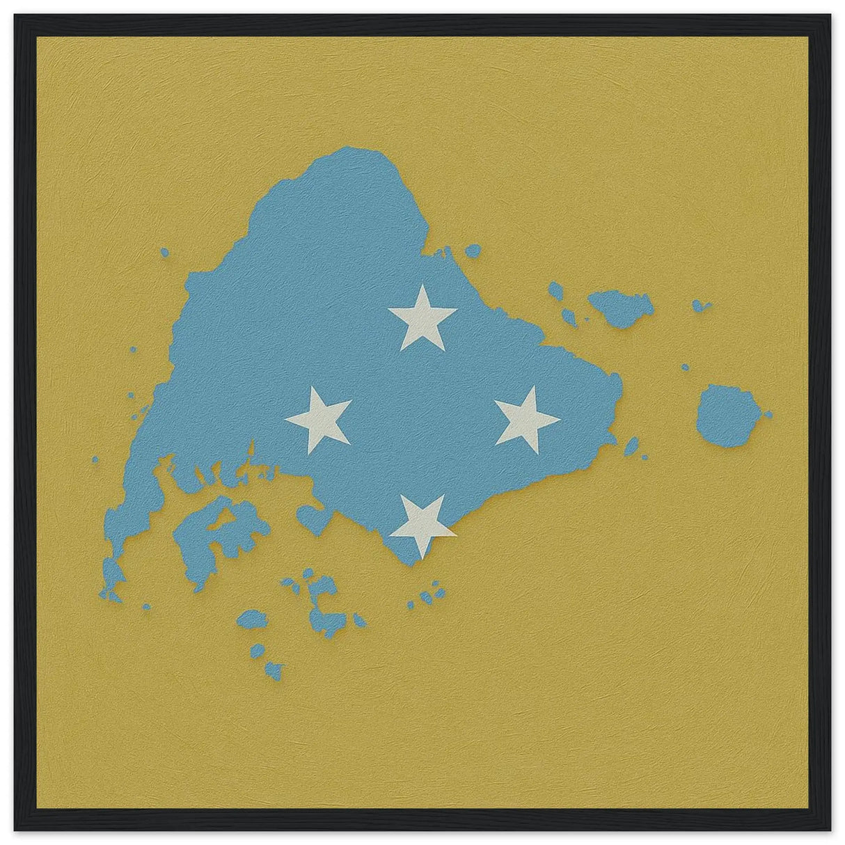Affiche encadrée drapeau micronésie en bois décoratif
