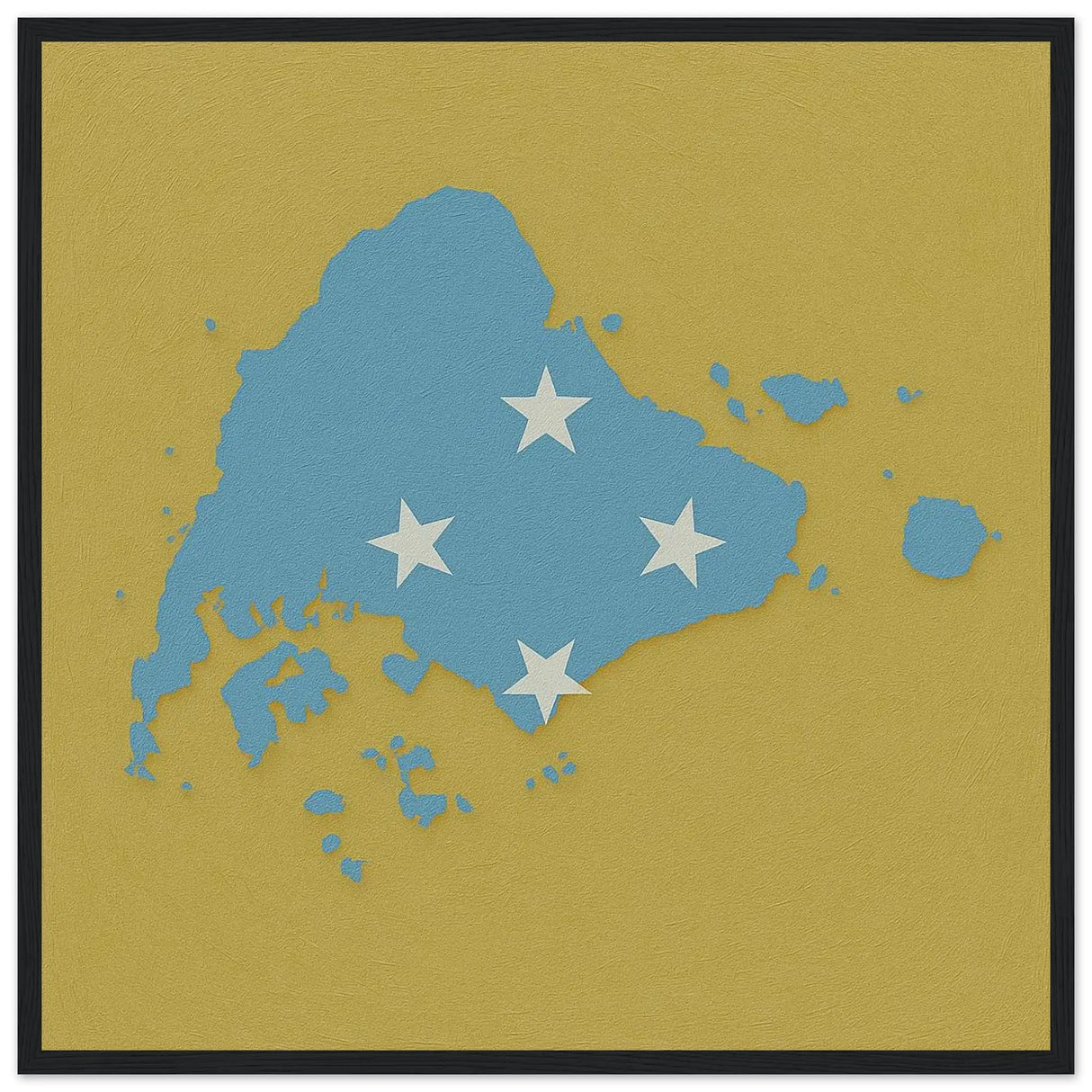 Affiche encadrée drapeau micronésie en bois décoratif