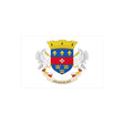 Autocollant drapeau saint-barthélemy en pvc forme rectangle