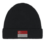 Bonnet en coton drapeau de singapour - pixelformaflag