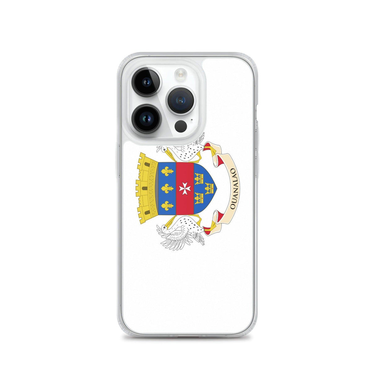 Coque de Télephone Drapeau de Saint-Barthélemy - Pixelforma