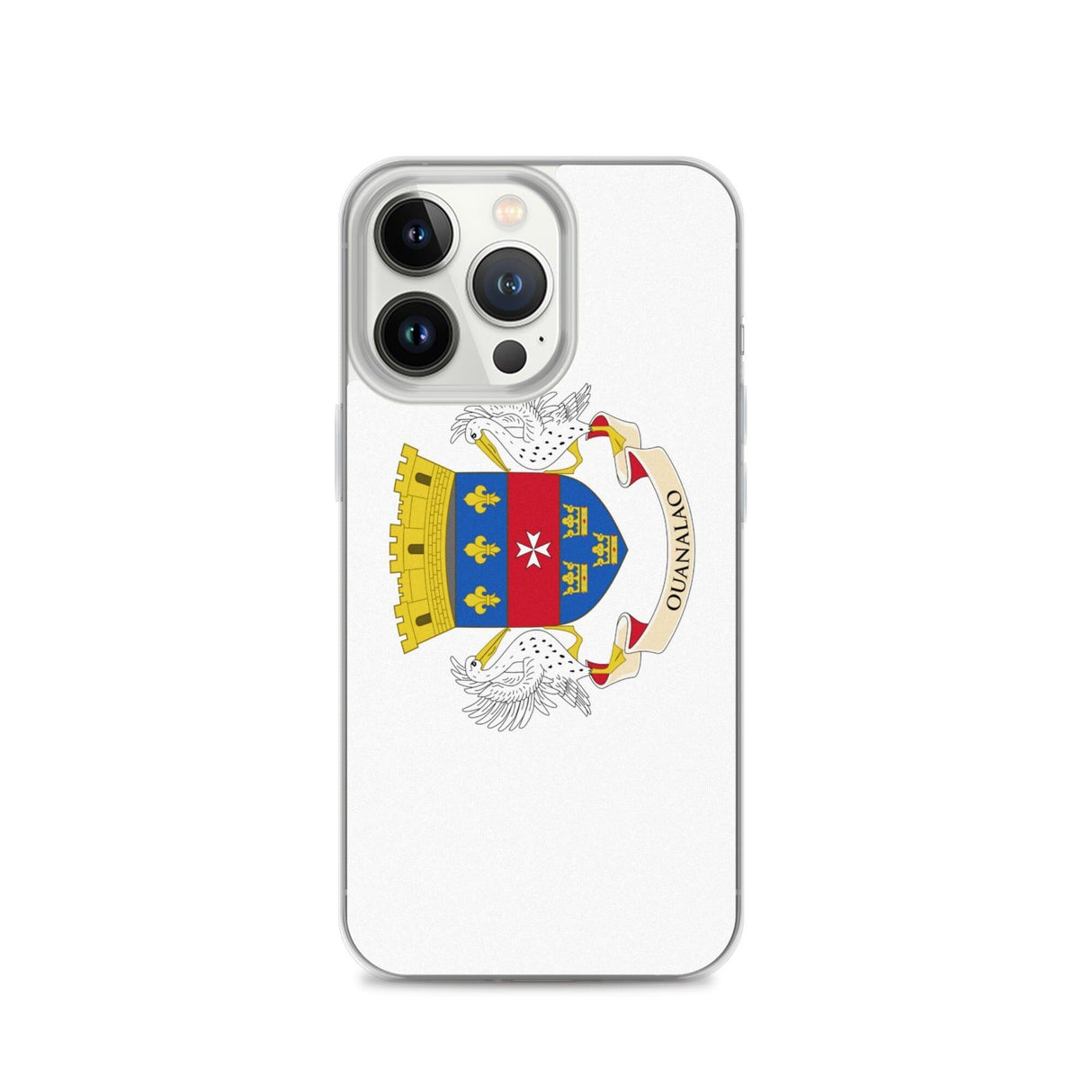 Coque de Télephone Drapeau de Saint-Barthélemy - Pixelforma