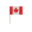 Cure-dents drapeau canada plastique adhésif bambou décoratif