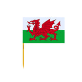 Wales Flag Toothpicks in Multiple Sizes - Pixelforma