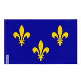 Drapeau armes royales france modernes polyester résistant