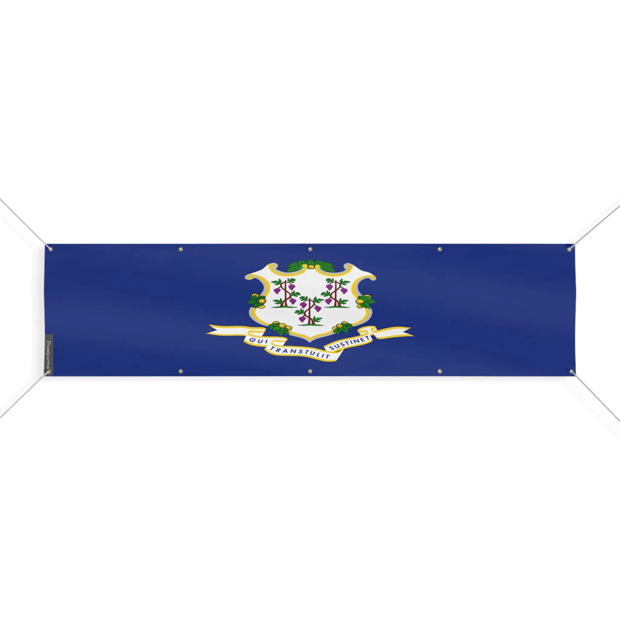 Drapeau connecticut polyester résistant aux intempéries