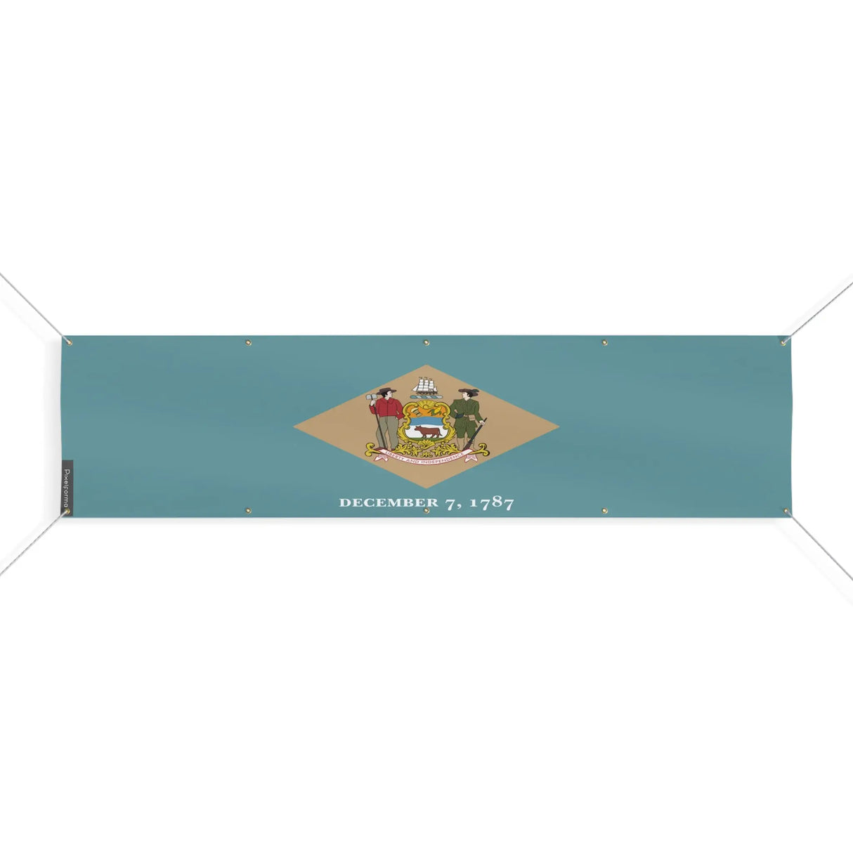 Drapeau delaware polyester résistant aux intempéries