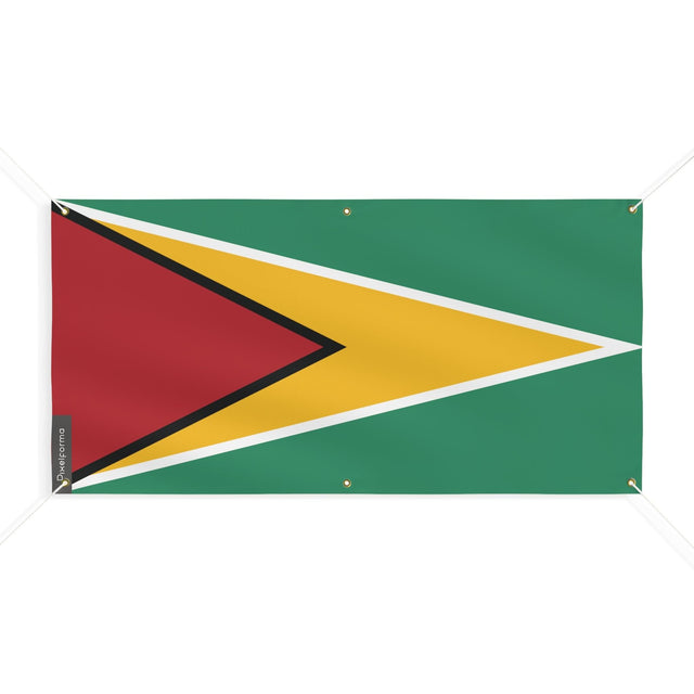 Drapeau du Guyana 6 Oeillets en plusieurs tailles - Pixelforma 