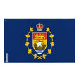 Drapeau lieutenant-gouverneur nouveau-brunswick polyester résistant