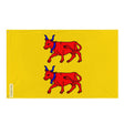 Drapeau pyrénées-atlantiques à l’est en polyester résistant