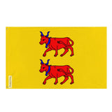 Drapeau pyrénées-atlantiques à l’est en polyester résistant