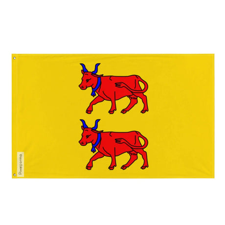 Drapeau pyrénées-atlantiques à l’est en polyester résistant