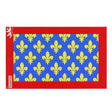 Drapeau sarthe polyester résistant avec œillets à gauche