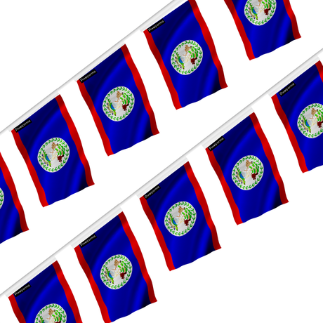 Guirlande drapeau belize - pixelforma