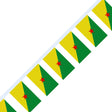 Guyana Flag Garland - Pixelforma