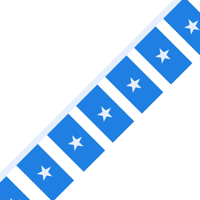 Somalia Flag Garland - Pixelforma