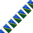 Solomon Islands Flag Garland - Pixelforma