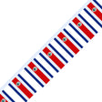 Costa Rican Flag Garland - Pixelforma