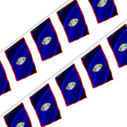 Guirlande drapeau guam polyester à accrocher fête événements