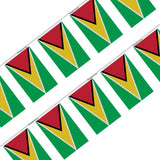 Guirlande drapeau guyana - pixelforma
