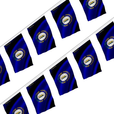 Guirlande drapeau kentucky polyester résistant à accrocher