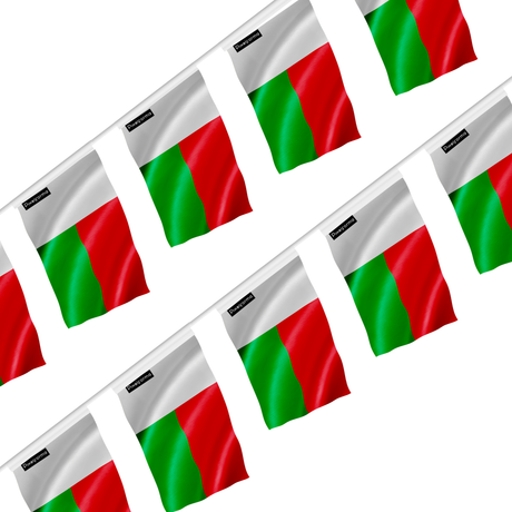 Guirlande drapeau madagascar - pixelforma